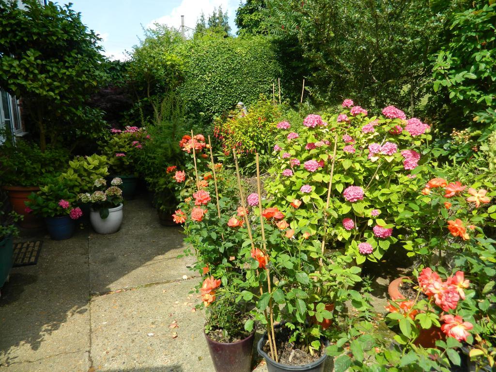 3 Bedroom Semi-Detached for Sale in Sanderstead, CR2 9NQ