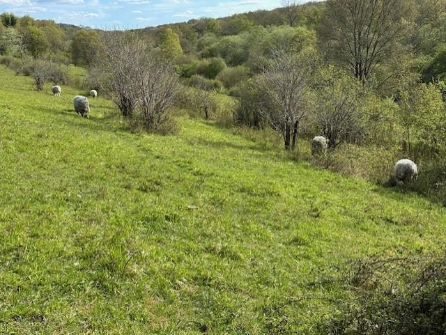 4 Bedroom Detached for Sale in Croydon, CR0 9AD