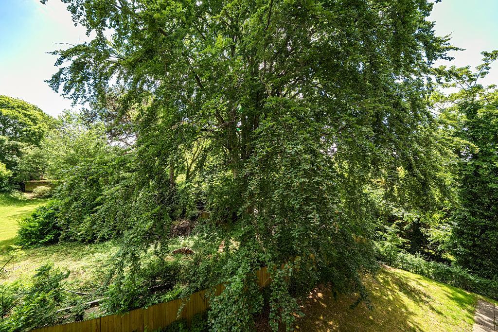 3 Bedroom Apartment for Sale in Croydon, CR2 0SA